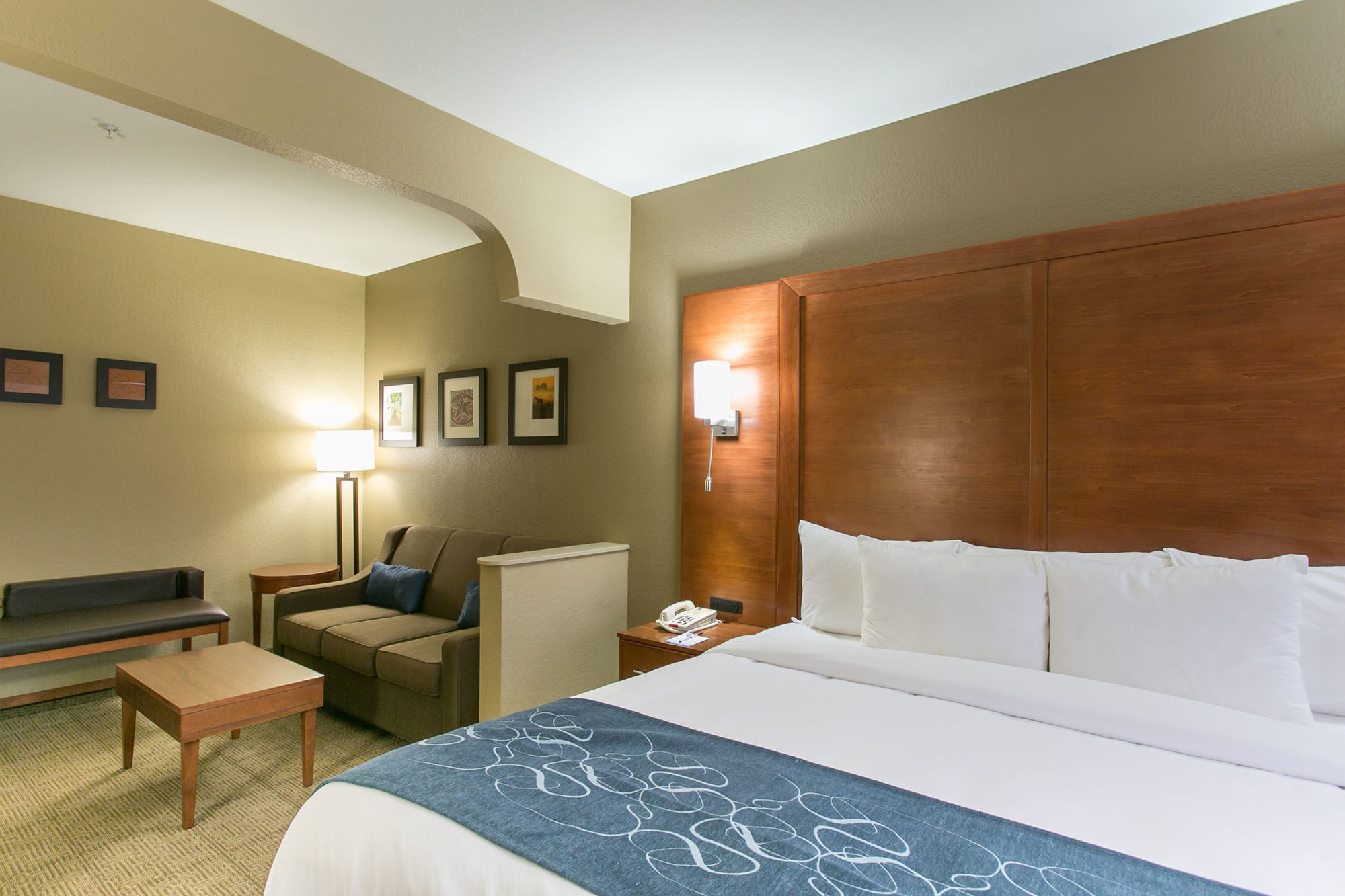 Comfort Suites Austin Nw Lakeline Ruang foto